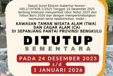 Tahun Baru 2025, Pantai Panjang dan Pulai Baai Bengkulu Ditutup, ini Penjelasan BKSDA