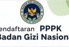 Cek Pendaftaran PPPK BGN 2026 Tahap 3 - 4, Ada Ratusan Formasi