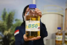 1 Juli 2026, Pemerintah Keluarkan Solar B50, Harganya Kemungkinan Lebih Murah