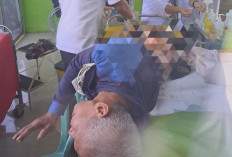 Diserang Beruang Saat Semprot Rumput, Warga Air Beliti Musi Rawas Luka di Punggung 