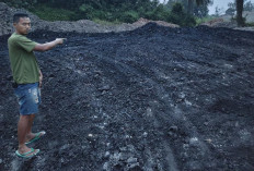 2 Sopir Truk Tersangka Batubara Ilegal, Polda Sumsel Selidiki Pemilik Stokpile 