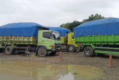 Tegas, Truk Batu Bara Kembali Dilarang Melintas di Muratara, Musi Rawas dan Lubuk Linggau