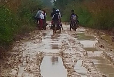 Jalan Desa Karya Teladan Musi Rawas Berlumpur, Kendaraan Sawit Diminta Bayar Retribusi atau Bantu Perbaikan