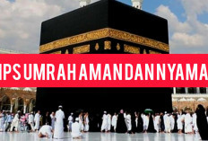 Jangan Sampai Tertipu, Pastikan 5 Hal Ini Sebelum Memilih Travel Umrah