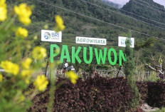 Lewat Program Desa BRILiaN, Desa Pajambon Kuningan Jadi Contoh Transformasi Ekonomi Berbasis Potensi Lokal