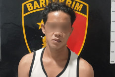 Buron 7 Bulan, Tersangka Pencuri 55 Janjang Sawit PT AKL di Musi Rawas Ditangkap