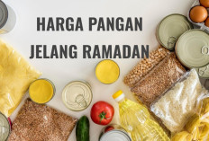 Daftar Harga Pangan di Sumatera Selatan Jelang Ramadan 2026, Cabai, Telur Hingga Beras