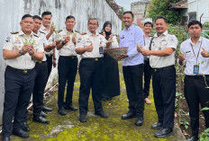 Lapas Lubuk Linggau Panen Buncis dan Cabai, Dukung Ketahanan Pangan
