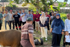 Peringati Idul Adha 2026, Kantor Pertanahan Musi Rawas Gelar Penyembelihan dan Pembagian Hewan Kurban