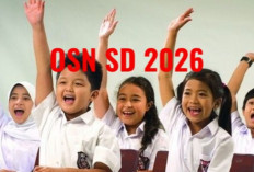 Syarat Ikut OSN 2026 Jenjang SD Sederajat, Ini Bidangnya