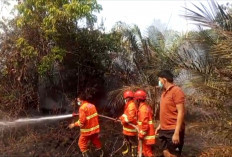 Hujan 2 Hari Berturut di Muratara, Laporan Karhutla Nihil, BPBD Tetap Siaga