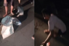 Bajing Loncat di Musi Rawas Sasar Truk Asal Kepahiang, Polisi Lakukan Penyelidikan