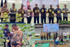 Dukung Ketahanan Pangan, Lapas Narkotika Muara Beliti Hadiri Panen Raya Melon Inhalton