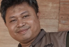 BKSDA Sebut Beruang Satwa Dilindungi, Minta Warga Berhati-hati dan Tidak Melukai