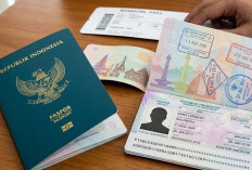 Cara Urus Paspor Hilang-Rusak, Ini Syarat Biaya dan Prosedurnya