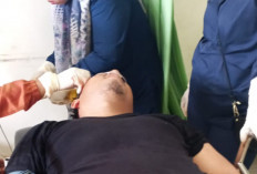 Pencuri Brondolan Sawit di Muratara Tabrak Manager Kebun PT Lonsum