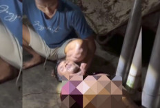 Marak Pencurian Alpukat di Lubuk Linggau, Warga Geram, Ada yang Diikat di Pohon, Diserahkan ke Polisi 