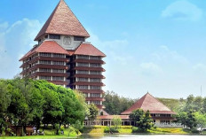 SNBP UI 2026, Cek Daftar Jurusan dengan Peminat Terbanyak di Sini