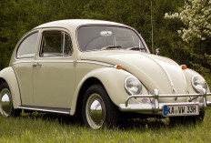 Volkswagen Beetle, Mobil Antik Legendaris di Era 1960 Hingga 1970