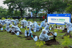 Perkuat Komitmen Keberlanjutan, BRI Gelar Aksi Tanam Pohon dan Ajak Masyarakat Peduli Lingkungan