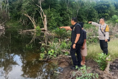 Pencari Rumput Diserang Buaya, Polisi Megang Sakti Musi Rawas Himbau Warga Jauhi Genangan Air