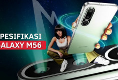 Harga dan Spesifikasi Samsung Galaxy M56 Terbaru 2026: Cocok untuk Gaming dan Multitasking, Cek di Sini