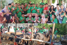 Semangat Berbagi, KPKB Lubuk Linggau Kurban 6 Sapi Rayakan Idul Adha 2026 untuk Sesama