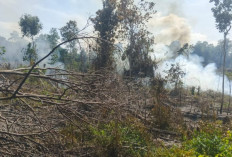 Kemarau Buka Lahan Dengan Cara Dibakar, Warga BTS Ulu Musi Rawas Diamankan Polisi