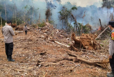 Hotspot Terdeteksi di Sungai Naik, Polsek BTS Ulu Bersama Warga Padamkan Karhutla 1 Hektare