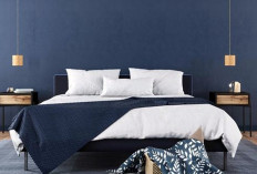 Tren Warna Cat Interior untuk Lebaran 2026, Didominasi Nuansa Hangat dan Alami