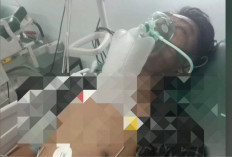 Lagi Ngopi di Teras Warga Semeteh Musi Rawas Meninggal Dunia Dipatuk Ular Cobra