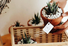 Inilah 7 Ide Hampers Lebaran 2026 yang Unik dan Berkesan untuk Lebaran 2026, Setelah Jalani Bulan Ramadan