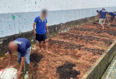 Lapas Narkotika Muara Beliti Lakukan Pemupukan Rutin untuk Dukung Ketahanan Pangan