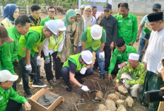 Resmikan Pembangunan Kantor DPC PKB Lubuk Linggau, Gus Halim Bicara Konsolidasi dan Aspirasi Rakyat