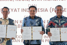 Beri Dukungan Pengusaha, BRI Kolaborasi dengan BP Batam, BKPM dan Kementerian UMKM, Perkuat Investasi Daerah