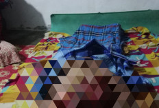 Warga Batu Gane Musi Rawas Diduga Diterkam Harimau, Kepala Terpisah dari Badan