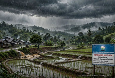 12 Wilayah di Sumatera Selatan Berpotensi Hujan 21-28 September 2026, BMKG Imbau Waspada