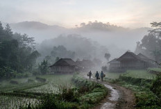 Kenali Perbedaan Kabut dan Embun, Jangan Sampai Keliru