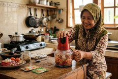 Rekomendasi 5 Blender Mini Penghalus Bumbu Paling Awet, Cek Harganya Berikut Ini