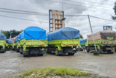 40 Truk Batu Bara Diamankan di Lubuk Linggau, Pengakuan Sopir dari Jambi ke Bengkulu