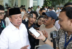 Menteri Nusron: 328 Ribu Hektare Lahan Swasembada Pangan Papua Selatan Sudah Aman Secara Hukum