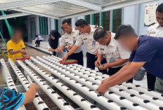 Perawatan Intensif Sawi Hidroponik, Lapas Narkotika Muara Beliti Dorong Kemandirian Warga Binaan