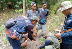 TNKS Adalah Habitat Harimau Sumatera, Warga Diminta Agar Tidak Beraktivitas di Kawasan