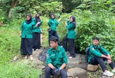 Harmoni Alam:: Pemanfaatan Tumbuhan untuk Kesehatan, Kecantikan dan Ekonomi