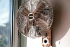 Ini 5 Merk Kipas Angin Dinding Awet dan Bagus, Pilihan Banyak Orang